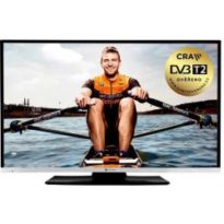 GoGEN TVF 43N384 návod a manuál