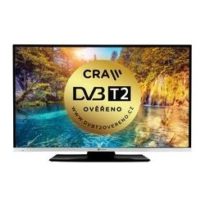 GoGEN TVF 43N384S návod a manuál
