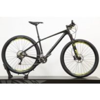 Focus Raven Elite 29 2017 návod a manuál
